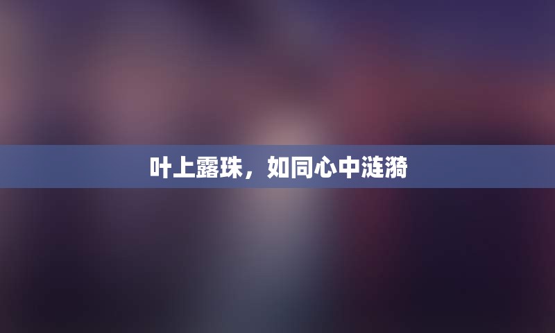 叶上露珠，如同心中涟漪