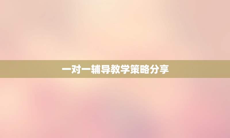 一对一辅导教学策略分享