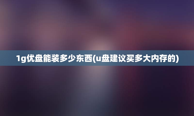 1g优盘能装多少东西(u盘建议买多大内存的)