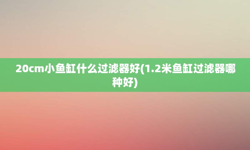20cm小鱼缸什么过滤器好(1.2米鱼缸过滤器哪种好)