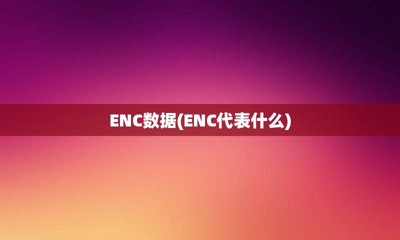 ENC数据(ENC代表什么)