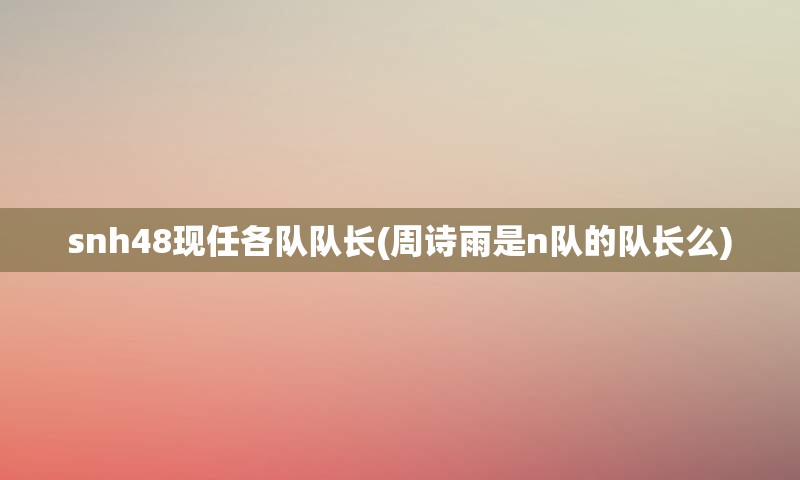 snh48现任各队队长(周诗雨是n队的队长么)