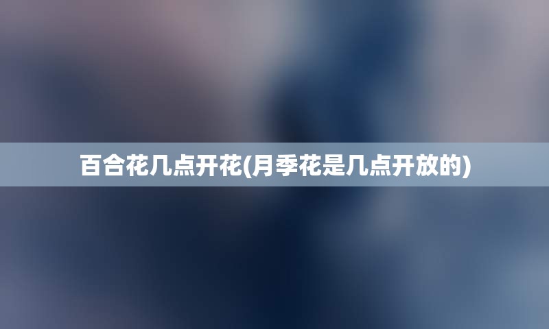 百合花几点开花(月季花是几点开放的)