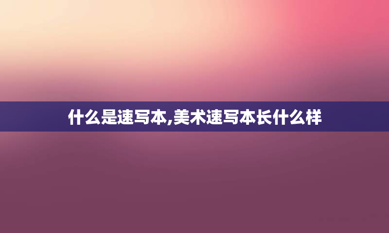 什么是速写本,美术速写本长什么样