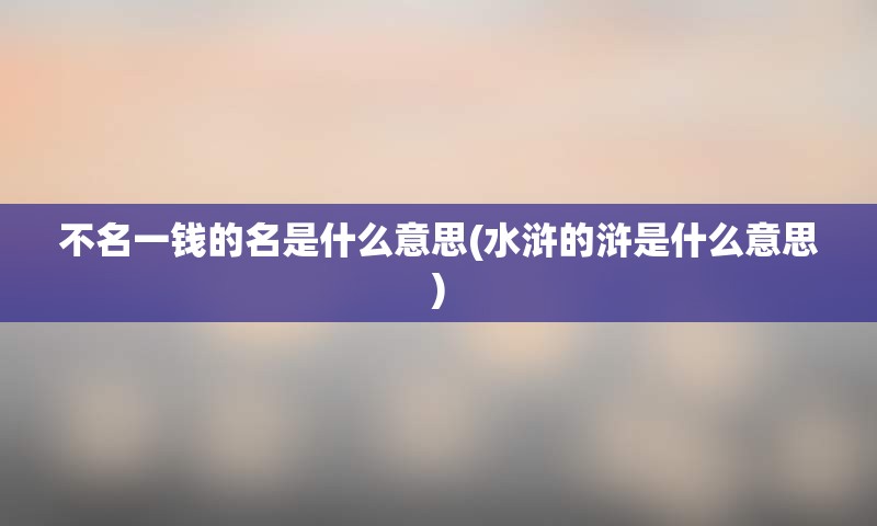 不名一钱的名是什么意思(水浒的浒是什么意思)