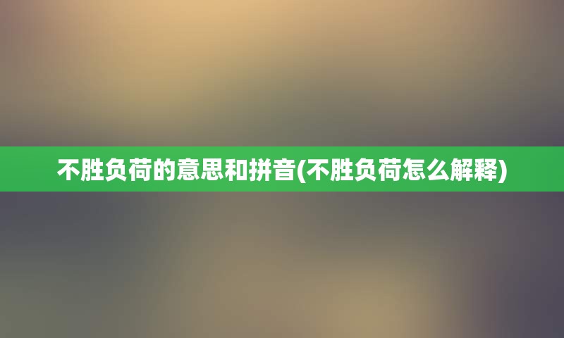 不胜负荷的意思和拼音(不胜负荷怎么解释)