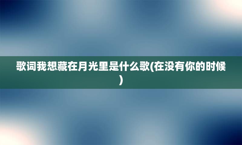 歌词我想藏在月光里是什么歌(在没有你的时候)
