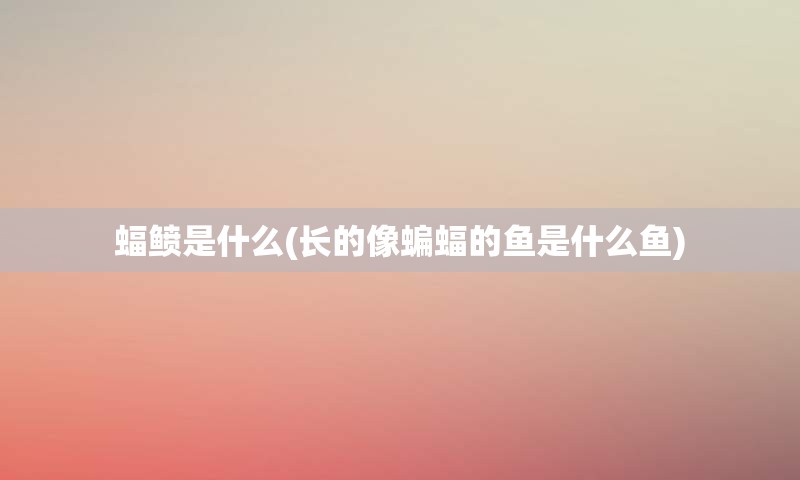 蝠鲼是什么(长的像蝙蝠的鱼是什么鱼)