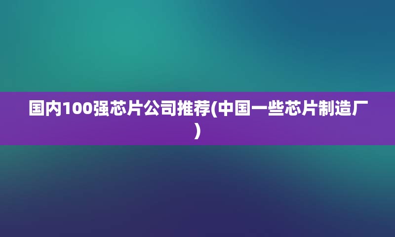 国内100强芯片公司推荐(中国一些芯片制造厂)