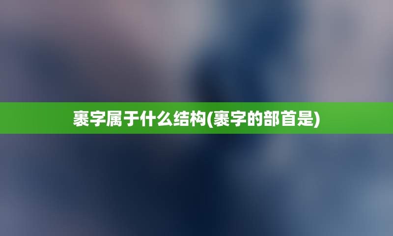 裹字属于什么结构(裹字的部首是)