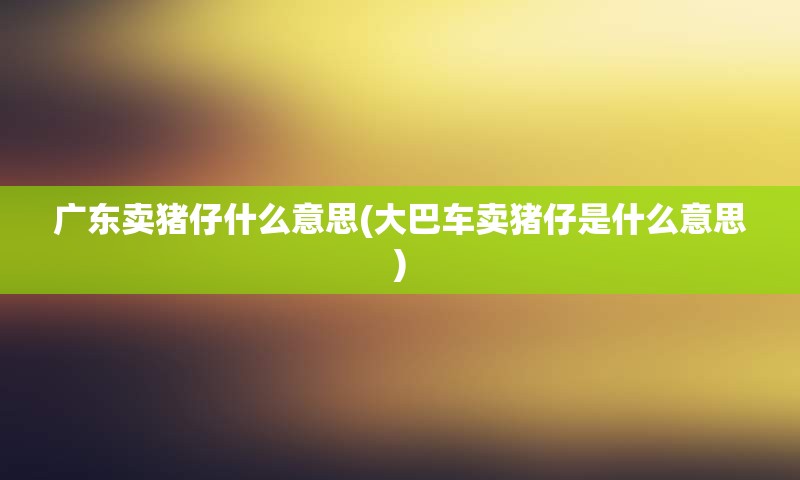 广东卖猪仔什么意思(大巴车卖猪仔是什么意思)
