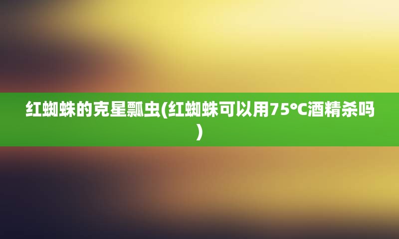 红蜘蛛的克星瓢虫(红蜘蛛可以用75℃酒精杀吗)