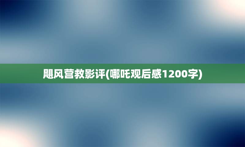 飓风营救影评(哪吒观后感1200字)