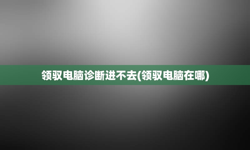 领驭电脑诊断进不去(领驭电脑在哪)