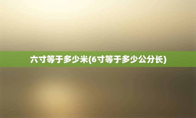 六寸等于多少米(6寸等于多少公分长)