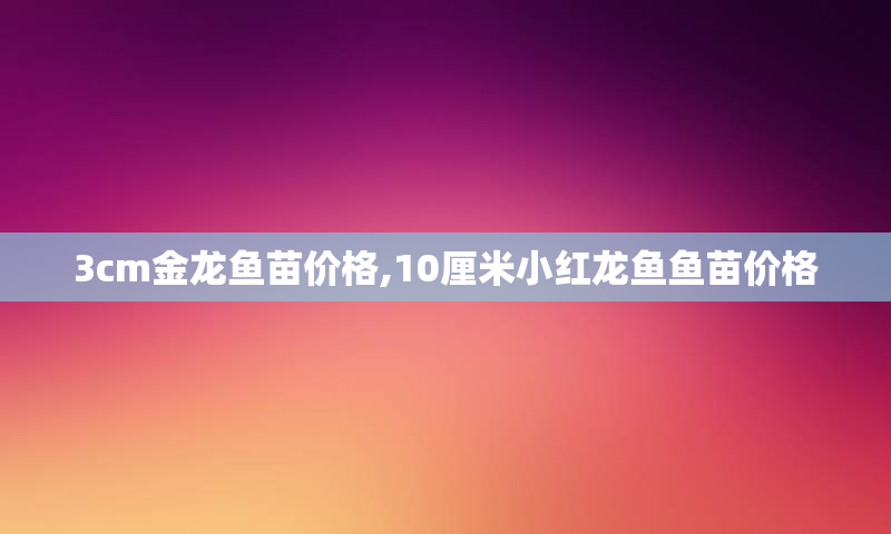 3cm金龙鱼苗价格,10厘米小红龙鱼鱼苗价格