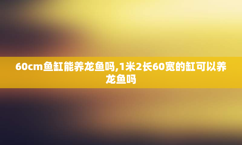 60cm鱼缸能养龙鱼吗,1米2长60宽的缸可以养龙鱼吗