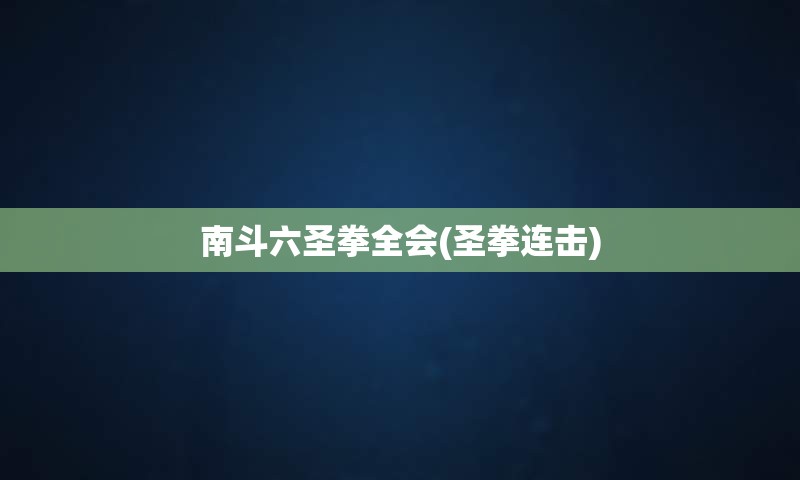 南斗六圣拳全会(圣拳连击)