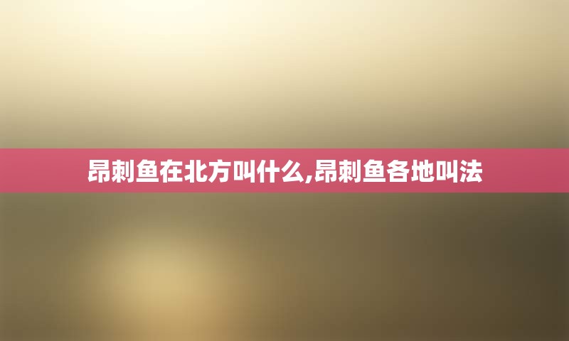 昂刺鱼在北方叫什么,昂刺鱼各地叫法
