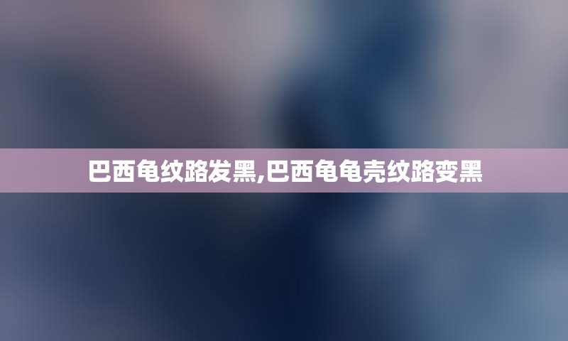 巴西龟纹路发黑,巴西龟龟壳纹路变黑