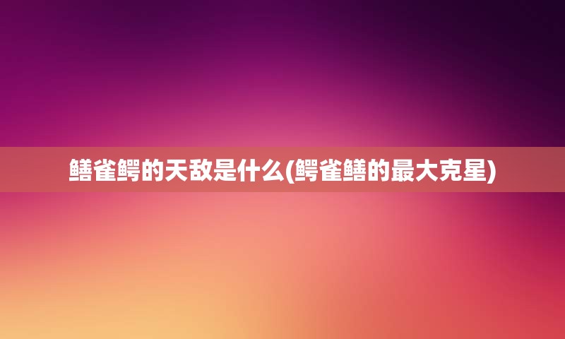 鳝雀鳄的天敌是什么(鳄雀鳝的最大克星)