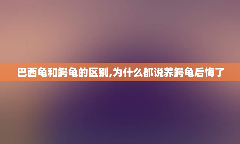 巴西龟和鳄龟的区别,为什么都说养鳄龟后悔了