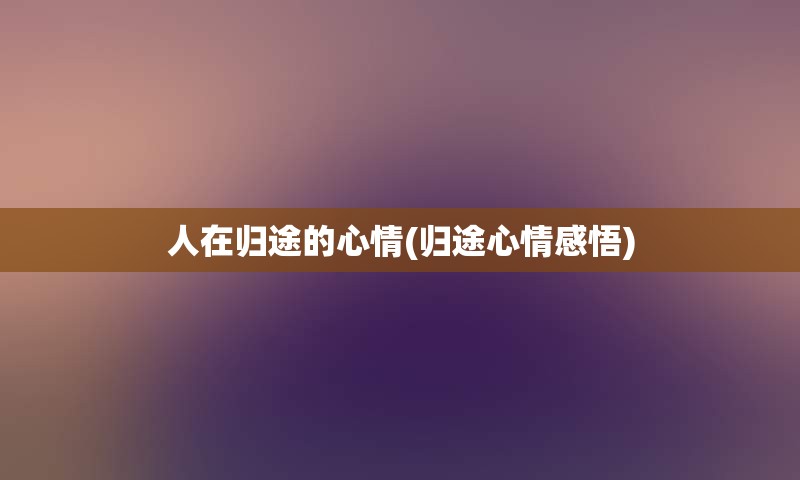人在归途的心情(归途心情感悟)