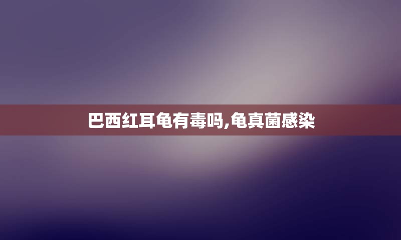 巴西红耳龟有毒吗,龟真菌感染