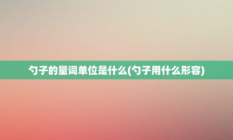 勺子的量词单位是什么(勺子用什么形容)