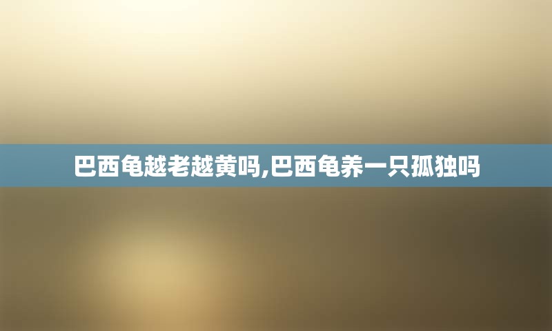 巴西龟越老越黄吗,巴西龟养一只孤独吗