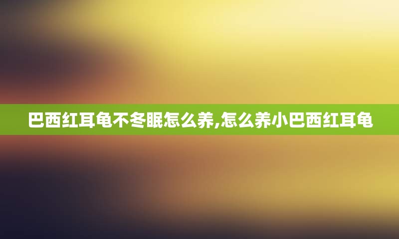巴西红耳龟不冬眠怎么养,怎么养小巴西红耳龟