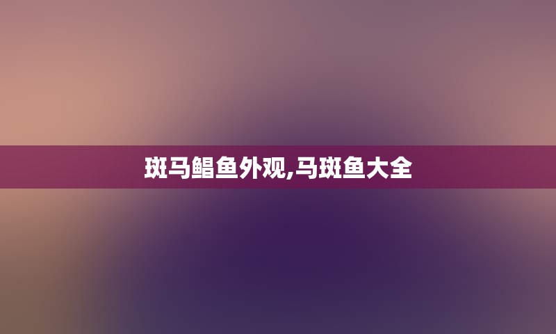 斑马鲳鱼外观,马斑鱼大全