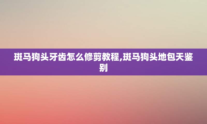 斑马狗头牙齿怎么修剪教程,斑马狗头地包天鉴别
