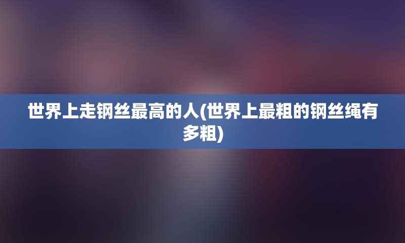 世界上走钢丝最高的人(世界上最粗的钢丝绳有多粗)