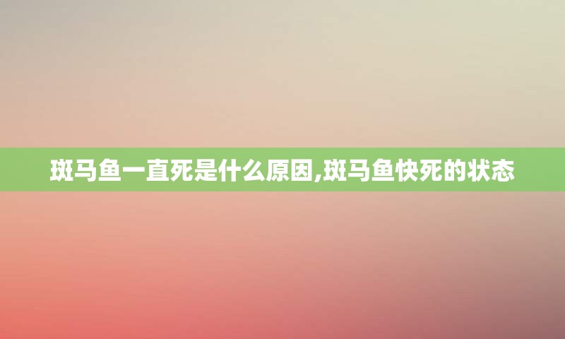 斑马鱼一直死是什么原因,斑马鱼快死的状态