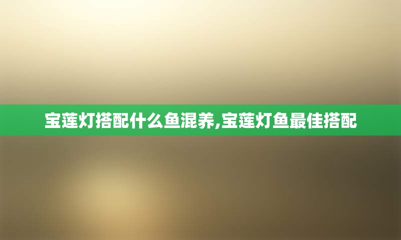 宝莲灯搭配什么鱼混养,宝莲灯鱼最佳搭配