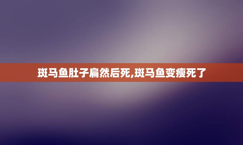 斑马鱼肚子扁然后死,斑马鱼变瘦死了