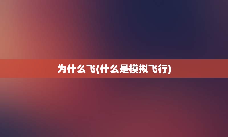 为什么飞(什么是模拟飞行)