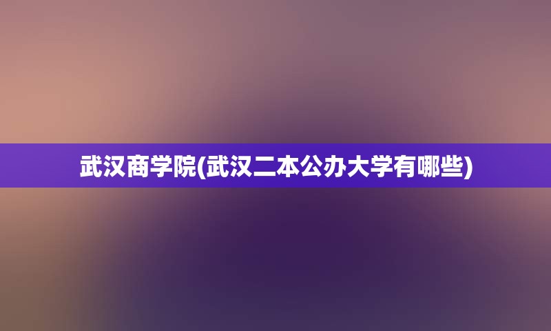 武汉商学院(武汉二本公办大学有哪些)