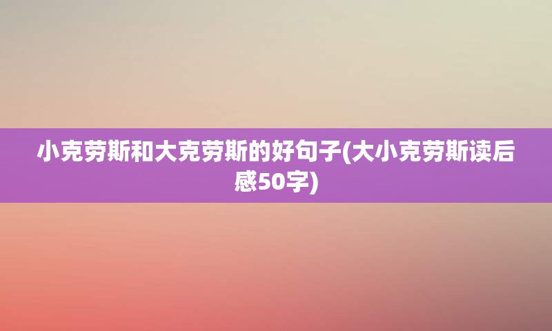 小克劳斯和大克劳斯的好句子(大小克劳斯读后感50字)