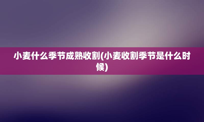 小麦什么季节成熟收割(小麦收割季节是什么时候)