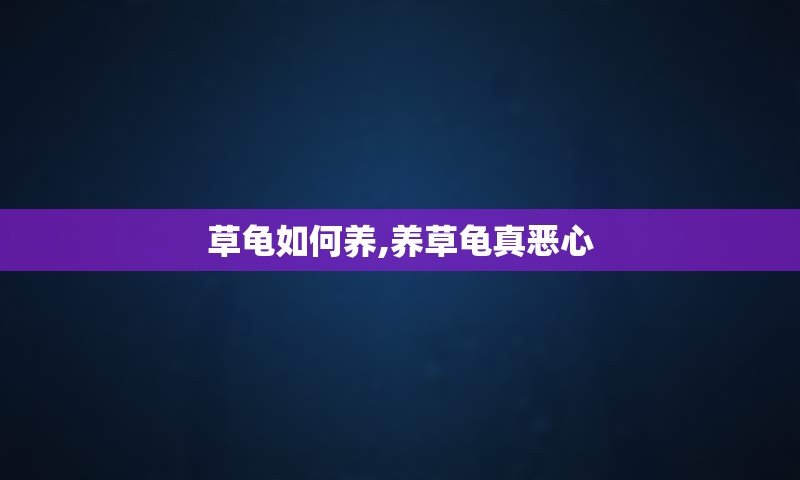 草龟如何养,养草龟真恶心
