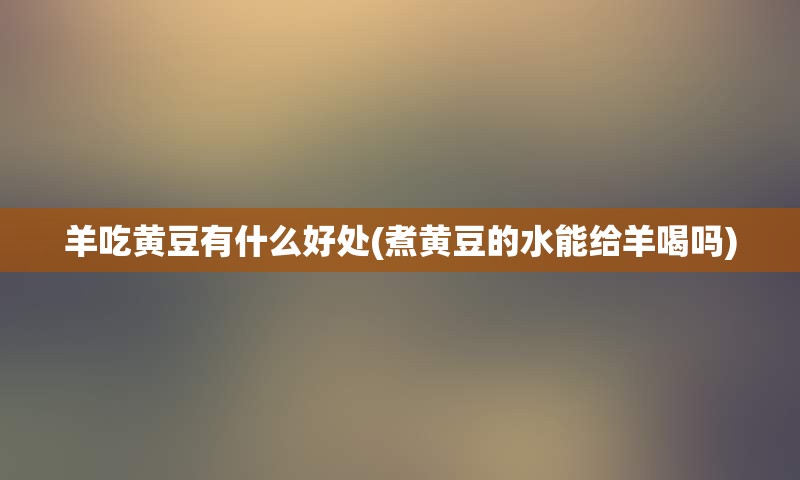 羊吃黄豆有什么好处(煮黄豆的水能给羊喝吗)