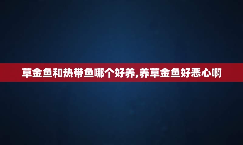 草金鱼和热带鱼哪个好养,养草金鱼好恶心啊