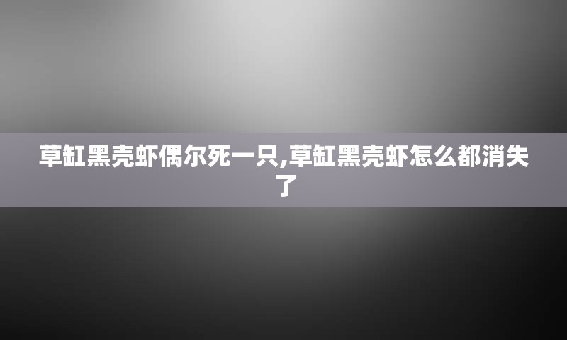 草缸黑壳虾偶尔死一只,草缸黑壳虾怎么都消失了