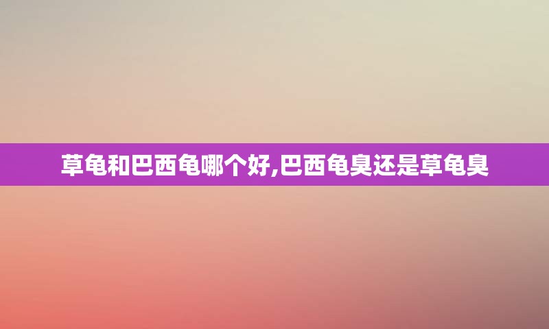 草龟和巴西龟哪个好,巴西龟臭还是草龟臭