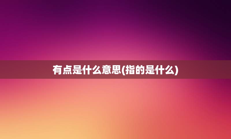 有点是什么意思(指的是什么)