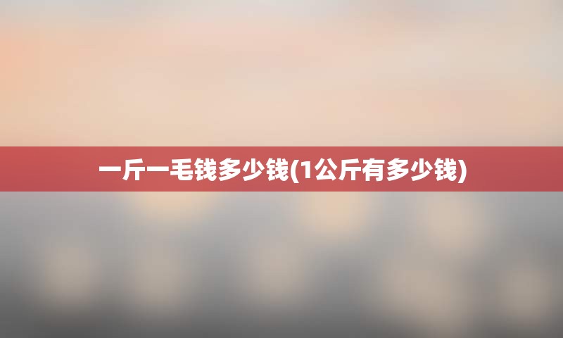 一斤一毛钱多少钱(1公斤有多少钱)