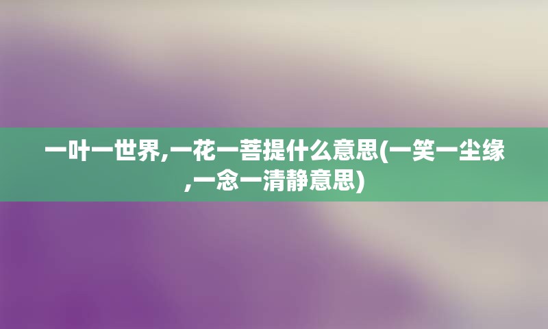 一叶一世界,一花一菩提什么意思(一笑一尘缘,一念一清静意思)