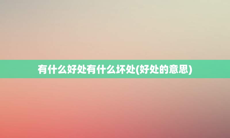 有什么好处有什么坏处(好处的意思)